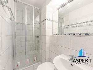 Pronájem bytu, Praha - Vinohrady, Londýnská, 17 m2