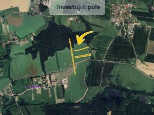 Prodej pole, Nová Ves, 2538 m2