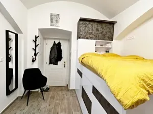 Pronájem bytu 1+kk, Praha - Vinohrady, Rubešova, 24 m2
