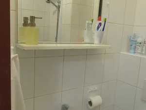Pronájem bytu 1+1, Praha - Břevnov, Nad Závěrkou, 38 m2