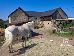 Prodej rodinného domu, Kamenná Horka, 273 m2