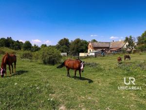 Prodej rodinného domu, Kamenná Horka, 273 m2