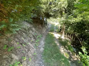Prodej rodinného domu, Sezemice, 200 m2