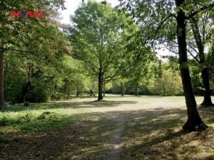 Pronájem bytu 2+kk, Praha - Hostivař, plukovníka Mráze, 40 m2