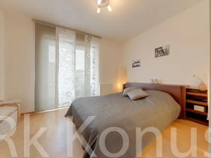 Pronájem bytu 2+kk, Praha - Dejvice, Heinemannova, 57 m2