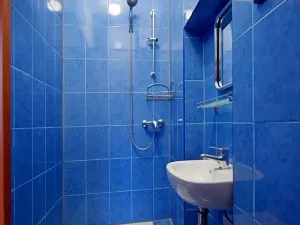 Pronájem bytu 1+1, Praha - Žižkov, Rokycanova, 30 m2