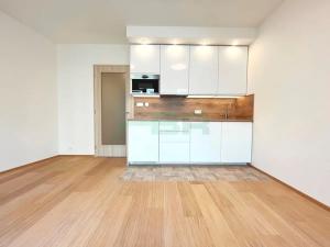Pronájem bytu 1+kk, Praha - Žižkov, Olgy Havlové, 29 m2