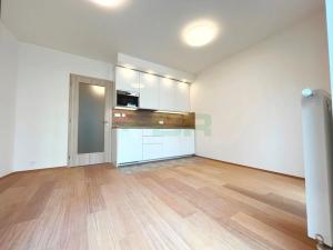 Pronájem bytu 1+kk, Praha - Žižkov, Olgy Havlové, 29 m2
