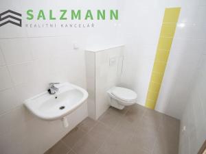 Prodej bytu 1+kk, Bublava, 30 m2