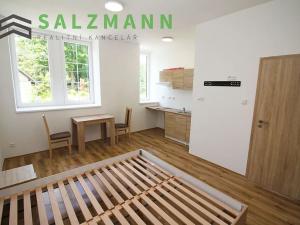 Prodej bytu 1+kk, Bublava, 24 m2