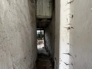 Prodej chalupy, Vyskytná, 60 m2
