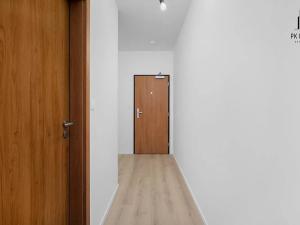 Pronájem bytu 1+kk, Brno, Dornych, 29 m2