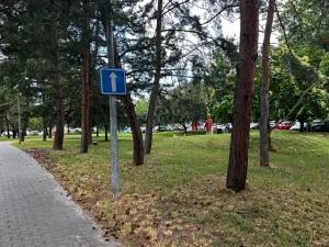 Pronájem bytu 2+1, Čelákovice, Stankovského, 52 m2