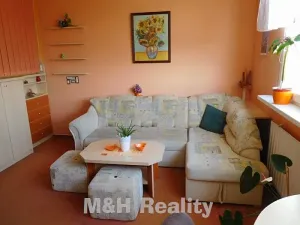Pronájem bytu 1+1, Frýdlant nad Ostravicí, Nerudova, 36 m2