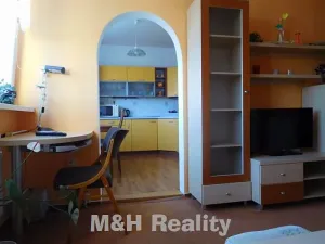 Pronájem bytu 1+1, Frýdlant nad Ostravicí, Nerudova, 36 m2