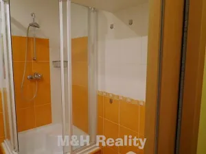 Pronájem bytu 1+1, Frýdlant nad Ostravicí, Nerudova, 36 m2