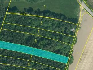 Prodej lesa, Dříteň, 4375 m2