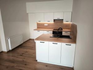 Pronájem bytu 2+kk, Nový Jičín, Hoblíkova, 66 m2