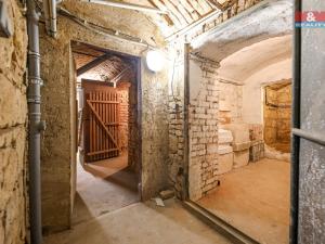 Prodej komerční nemovitosti, Plzeň, Božkovská, 53 m2