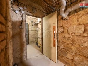 Prodej komerční nemovitosti, Plzeň, Božkovská, 53 m2