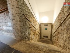 Prodej komerční nemovitosti, Plzeň, Božkovská, 53 m2