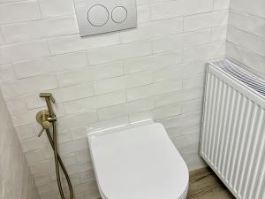 Pronájem bytu 1+kk, Březová nad Svitavou, 50 m2