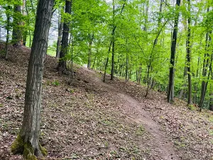 Prodej chaty, Kaliště, 30 m2