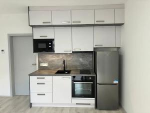 Pronájem bytu 1+kk, Olomouc, Edmunda Husserla, 30 m2