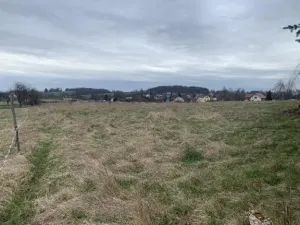 Dražba louky, Nový Oldřichov, 1549 m2