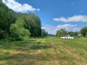 Dražba lesa, Jestřebí, 1748 m2