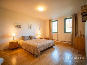 Prodej rodinného domu, Suchdol nad Lužnicí, Žižkova, 300 m2