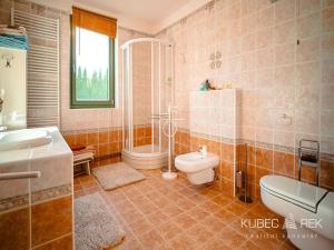 Prodej rodinného domu, Suchdol nad Lužnicí, Žižkova, 300 m2