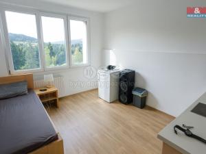 Pronájem bytu 1+kk, Větřní, Šumavská, 19 m2