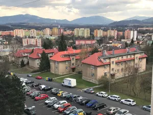 Pronájem bytu 1+kk, Frýdek-Místek, Klicperova, 28 m2