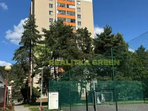 Pronájem bytu 1+1, Vsetín, Jiráskova, 45 m2