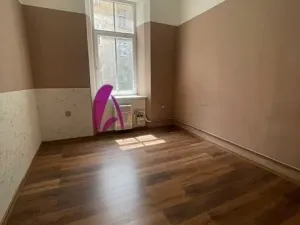 Pronájem bytu 1+kk, Olomouc, Palackého, 22 m2