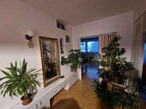 Prodej rodinného domu, Brloh, 162 m2
