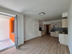 Pronájem bytu 3+kk, České Budějovice, Riegrova, 68 m2