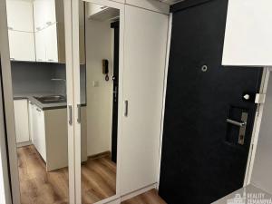 Pronájem bytu 1+1, Praha - Vinohrady, Řipská, 40 m2