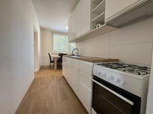 Pronájem bytu 3+1, Brno, Schwaigrova, 75 m2