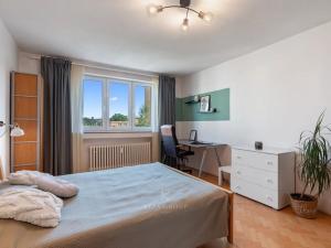 Prodej bytu 2+kk, Praha - Žižkov, Křivá, 52 m2