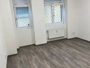 Pronájem bytu 2+kk, Praha - Žižkov, Jeseniova, 45 m2