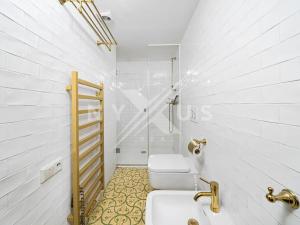 Pronájem bytu 2+kk, Praha - Vinohrady, Mánesova, 59 m2