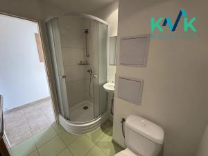 Prodej bytu 1+1, Ostrov, Kollárova, 36 m2