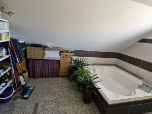 Prodej výrobních prostor, Břeclav, Široký dvůr, 12400 m2