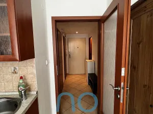 Pronájem bytu 1+kk, Praha - Žižkov, Biskupcova, 26 m2
