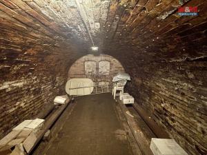 Prodej vinného sklepa, Prušánky, 80 m2
