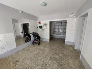 Pronájem bytu 1+1, Brno, Arbesova, 40 m2