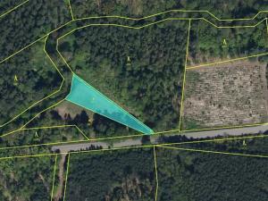 Prodej podílu lesa, Břehy, 5148 m2