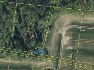 Prodej podílu lesa, Břehy, 5148 m2